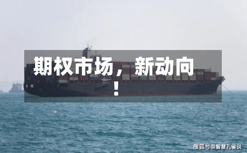 期权市场，新动向！-第3张图片