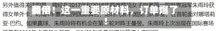 费用翻倍！这一重要原材料	，订单爆了！-第3张图片