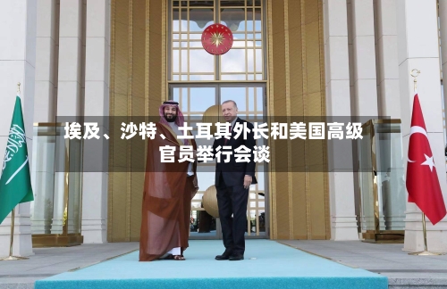 埃及	、沙特、土耳其外长和美国高级官员举行会谈-第3张图片