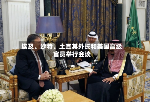 埃及、沙特、土耳其外长和美国高级官员举行会谈-第2张图片