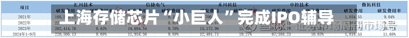 上海存储芯片“小巨人	”完成IPO辅导-第2张图片
