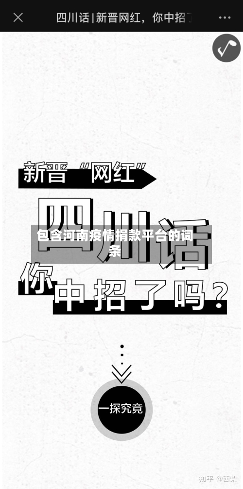 包含河南疫情捐款平台的词条-第2张图片