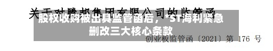 股权收购被出具监管函后，*ST海利紧急删改三大核心条款-第2张图片