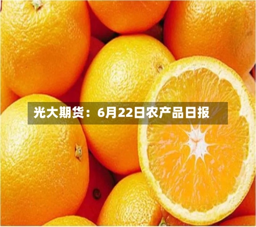 光大期货：6月22日农产品日报