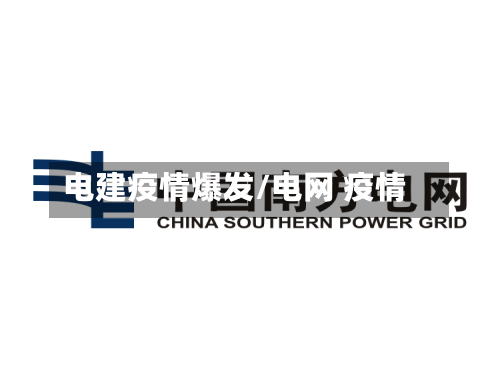 电建疫情爆发/电网 疫情