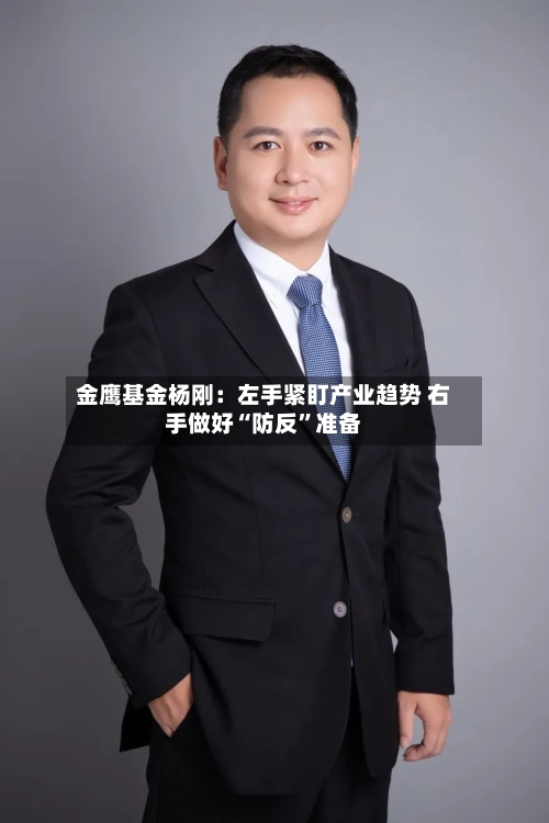 金鹰基金杨刚：左手紧盯产业趋势 右手做好“防反”准备-第3张图片