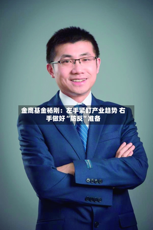 金鹰基金杨刚：左手紧盯产业趋势 右手做好“防反”准备-第2张图片
