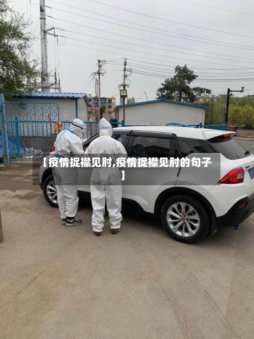 【疫情捉襟见肘,疫情捉襟见肘的句子】-第2张图片