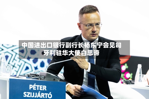 中国进出口银行副行长杨东宁会见匈牙利驻华大使白思谛