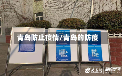 青岛防止疫情/青岛的防疫