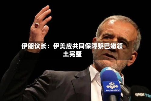 伊朗议长：伊美应共同保障黎巴嫩领土完整