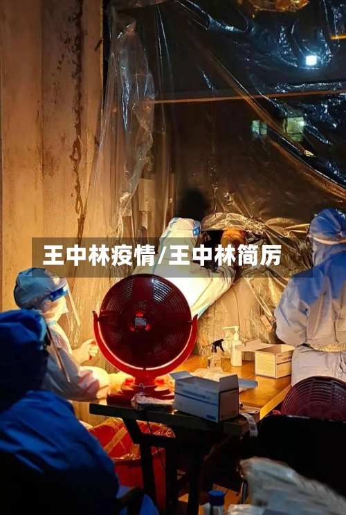 王中林疫情/王中林简厉-第2张图片