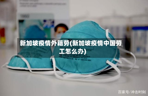 新加坡疫情外籍劳(新加坡疫情中国劳工怎么办)-第3张图片