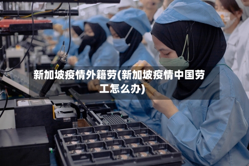 新加坡疫情外籍劳(新加坡疫情中国劳工怎么办)-第2张图片