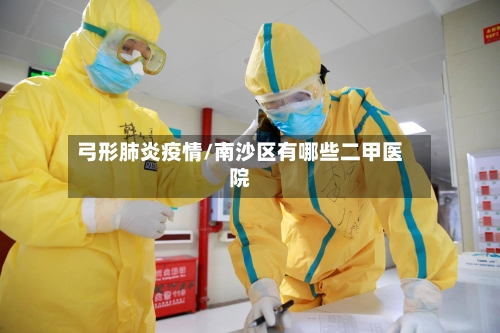 弓形肺炎疫情/南沙区有哪些二甲医院