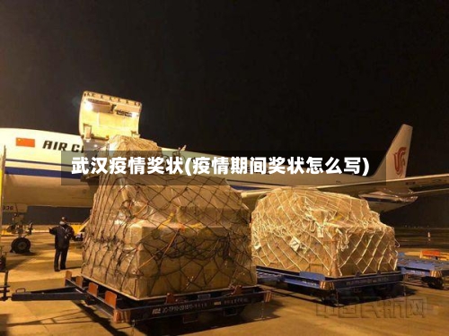 武汉疫情奖状(疫情期间奖状怎么写)