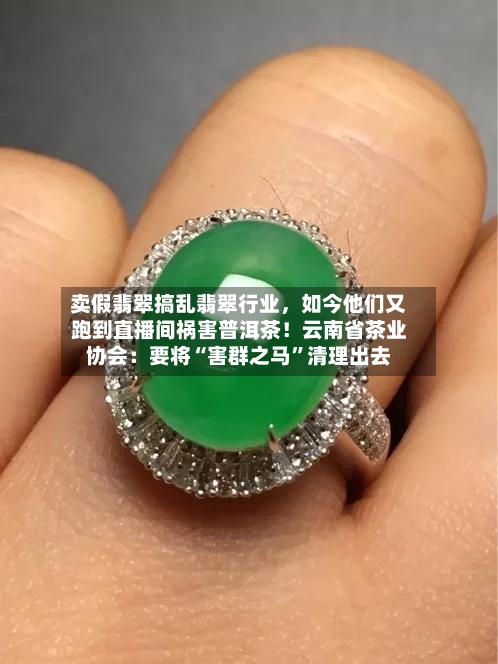 卖假翡翠搞乱翡翠行业，如今他们又跑到直播间祸害普洱茶！云南省茶业协会：要将“害群之马”清理出去-第3张图片