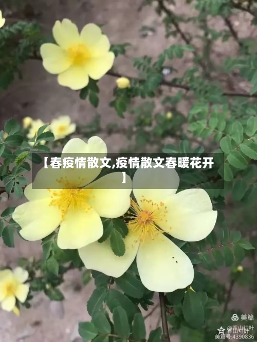 【春疫情散文,疫情散文春暖花开】-第2张图片