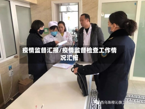 疫情监督汇报/疫情监督检查工作情况汇报