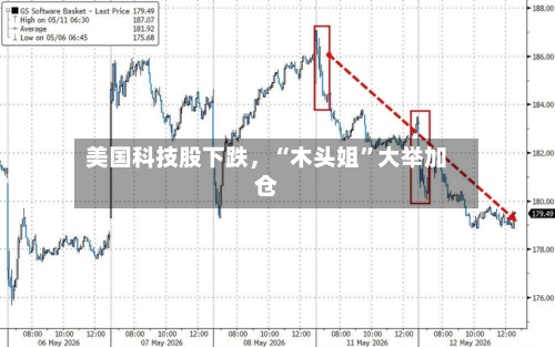 美国科技股下跌	，“木头姐”大举加仓-第2张图片