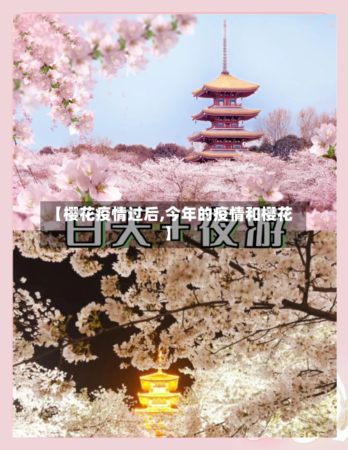 【樱花疫情过后,今年的疫情和樱花】-第2张图片