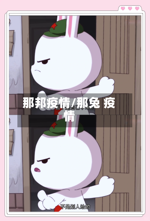 那邦疫情/那兔 疫情-第3张图片
