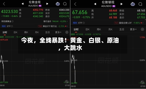今夜	，全线暴跌！黄金、白银、原油，大跳水-第2张图片