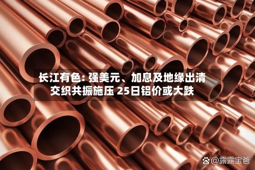 长江有色: 强美元、加息及地缘出清交织共振施压 25日铝价或大跌-第3张图片