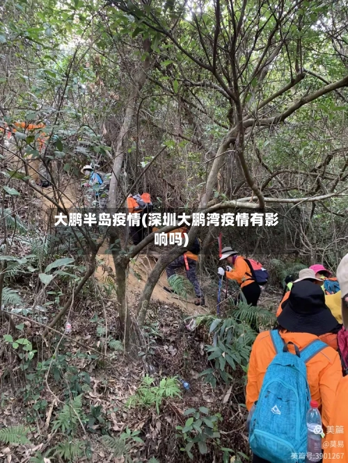 大鹏半岛疫情(深圳大鹏湾疫情有影响吗)