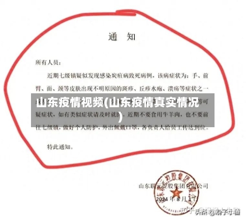 山东疫情视频(山东疫情真实情况)-第2张图片