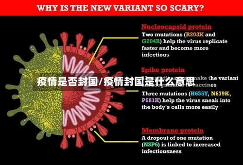 疫情是否封国/疫情封国是什么意思-第3张图片