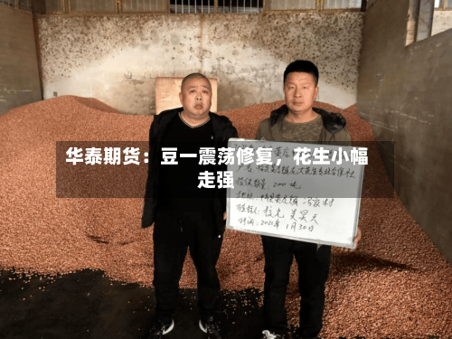华泰期货：豆一震荡修复，花生小幅走强-第3张图片