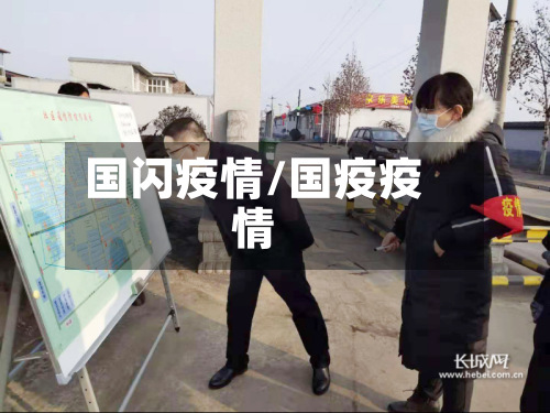国闪疫情/国疫疫情
