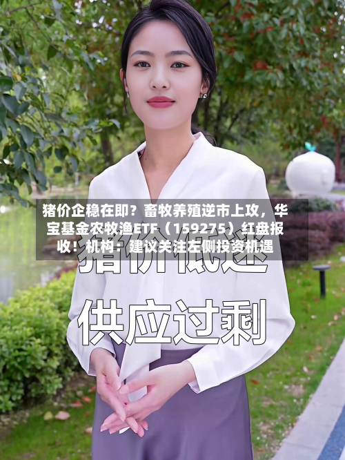 猪价企稳在即？畜牧养殖逆市上攻，华宝基金农牧渔ETF（159275）红盘报收！机构：建议关注左侧投资机遇