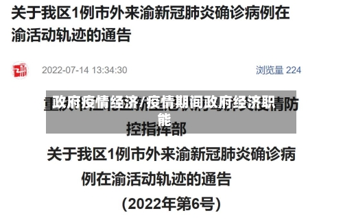 政府疫情经济/疫情期间政府经济职能