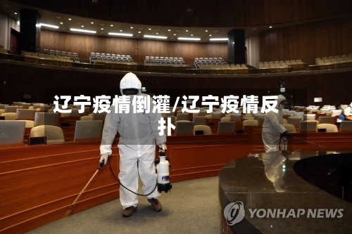 辽宁疫情倒灌/辽宁疫情反扑-第3张图片