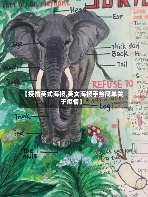 【疫情英式海报,英文海报手绘简单关于疫情】-第2张图片