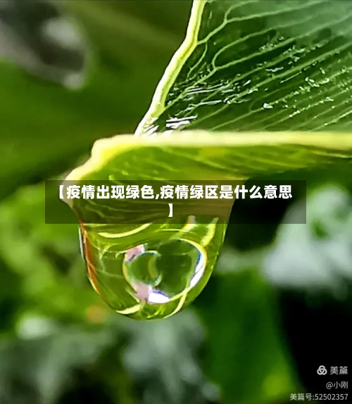 【疫情出现绿色,疫情绿区是什么意思】