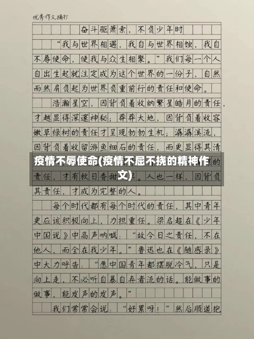 疫情不辱使命(疫情不屈不挠的精神作文)-第2张图片