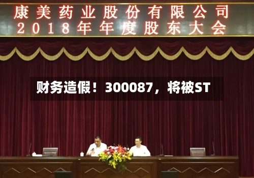 财务造假！300087，将被ST-第2张图片