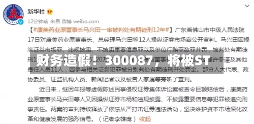 财务造假！300087，将被ST-第3张图片