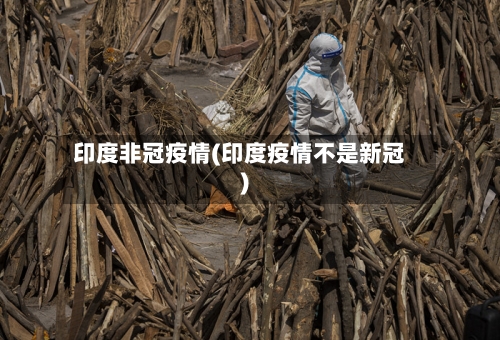印度非冠疫情(印度疫情不是新冠)
