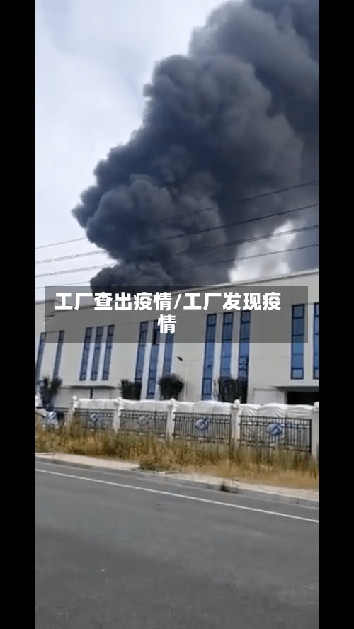 工厂查出疫情/工厂发现疫情