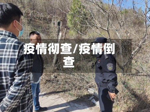疫情彻查/疫情倒查