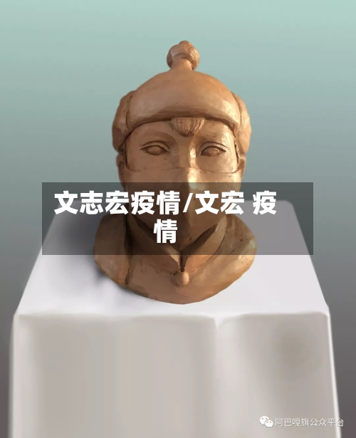 文志宏疫情/文宏 疫情