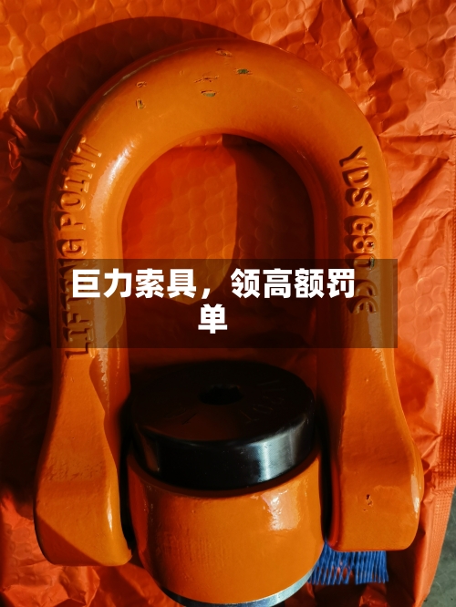 巨力索具，领高额罚单