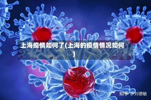 上海疫情如何了(上海的疫情情况如何)