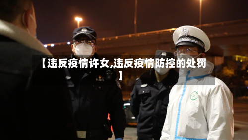 【违反疫情许女,违反疫情防控的处罚】-第3张图片