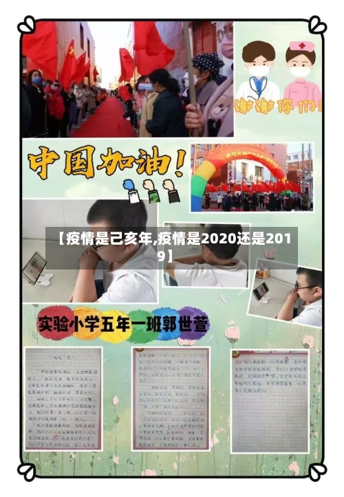 【疫情是己亥年,疫情是2020还是2019】-第3张图片