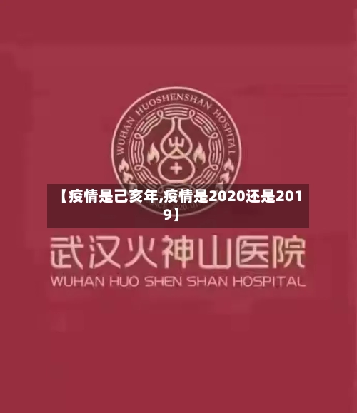 【疫情是己亥年,疫情是2020还是2019】